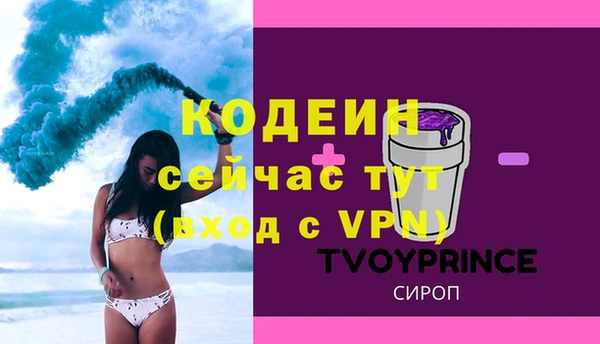 шишки Абаза