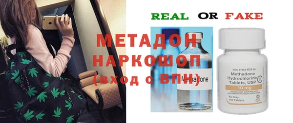 шишки Абаза