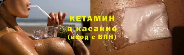 шишки Абаза