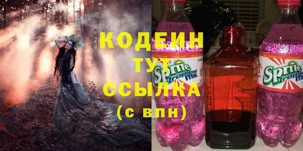 шишки Абаза