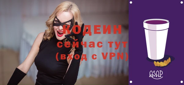 шишки Абаза