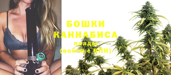 шишки Абаза