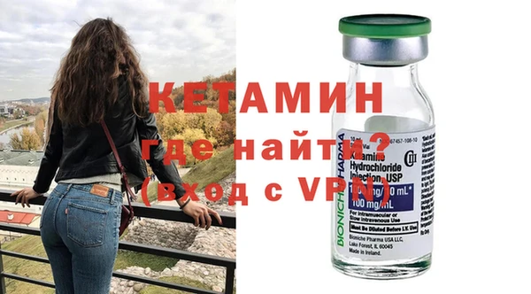 шишки Абаза