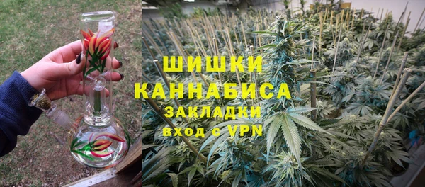 шишки Абаза