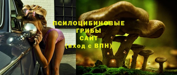 амф Нефтекумск