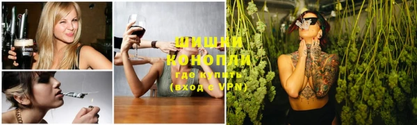 шишки Абаза